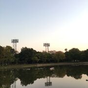 公園というより緑地。