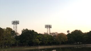 公園というより緑地。