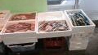 日本海フィッシャーマンズケープ