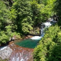 食堂からの眺めが最高です。