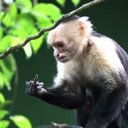 野生生物に出会えます