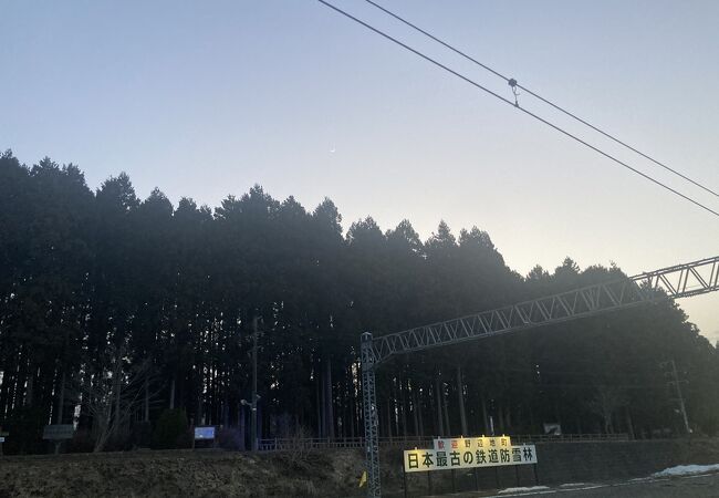 日本最古の鉄道防雪林
