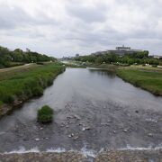 緑も多くかった京都市内中心部を流れる川でした。