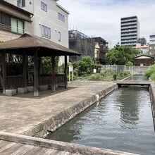 古石場川親水公園