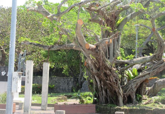 那覇市街中心部にある大きな公園です。