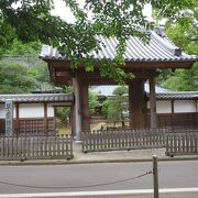 箱根湯本にある北条家の菩提寺として栄えたお寺です。