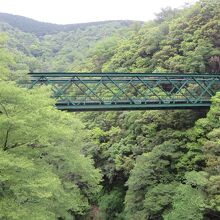 早川に架かる出山の鉄橋。両端が新緑に隠れて見えなかったです。
