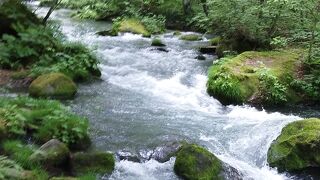 バスを降りての散策は良かった