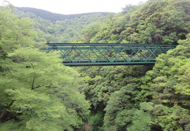 今回は箱根登山鉄道に乗車しませんでしたが、新緑の季節の「出山の鉄橋」を見たくて行きました。