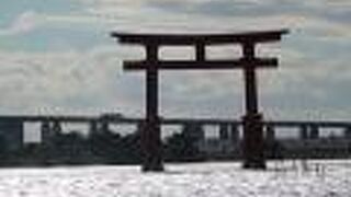 逆光が残念でした