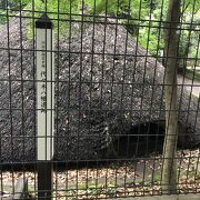 代々木八幡宮の中にあります。