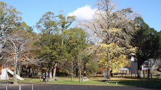 佐白山麓公園