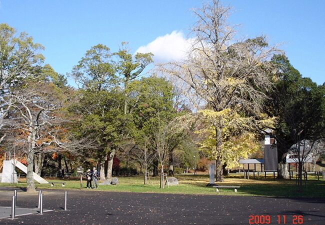 笠間藩下屋敷跡に作られた公園。