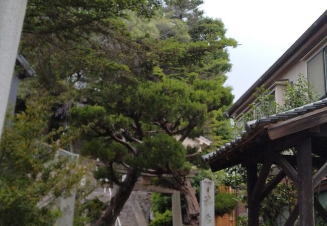 衣羽神社