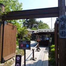 入って左側に進むと、薬用植物標本園