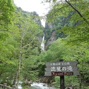 向かって右側の滝。木々にかくれてちょっと見えにくい。すこい小ぶり。