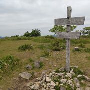 爽やかな初夏の風の中、緩やかな草原の山を歩く