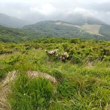 小雨の中、山頂からの眺望。