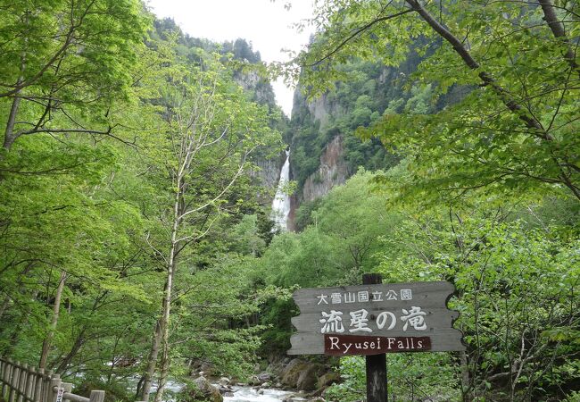 向かって右側の滝。木々にかくれてちょっと見えにくい。すこい小ぶり。