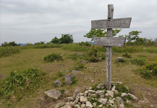 爽やかな初夏の風の中、緩やかな草原の山を歩く