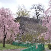 石垣が素晴らしい