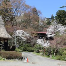 呉羽山公園