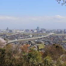 桜の展望台からの眺め