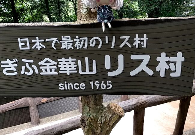 ぎふ金華山リス村