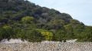 石垣と天守跡が残っていました