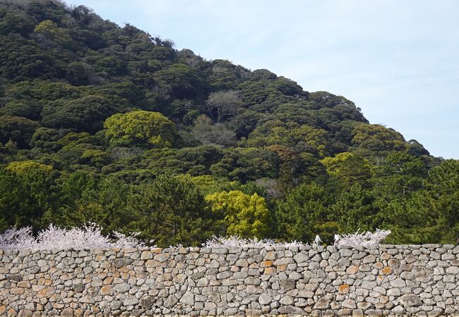 石垣と天守跡が残っていました