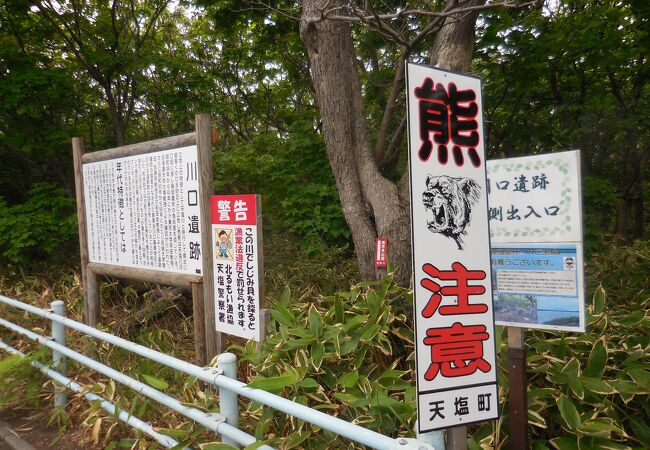 天塩町川口遺跡風景林