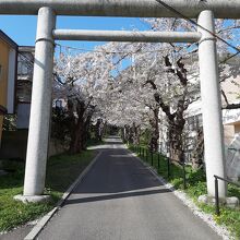 住三吉神社