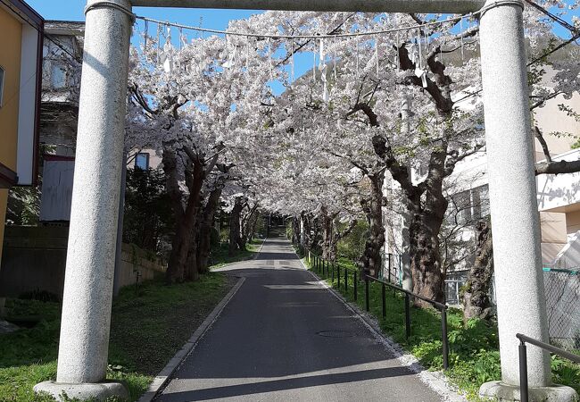 住三吉神社