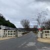 名馬アーモンドアイを鍛えたトレーニングセンター
