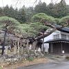 福島の全国新酒鑑評会における金賞の一端を担う、昔ながらの酒蔵