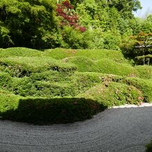 大池寺蓬莱庭園