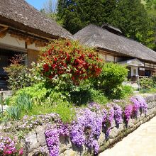 通りには観光客を迎える花々が。