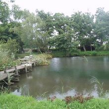 水郷トンボ公園の風景