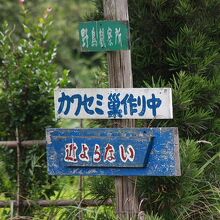 「カワセミ巣作り中」の看板