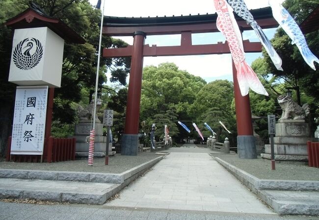 参道をカモが歩く、長い歴史を誇る神社