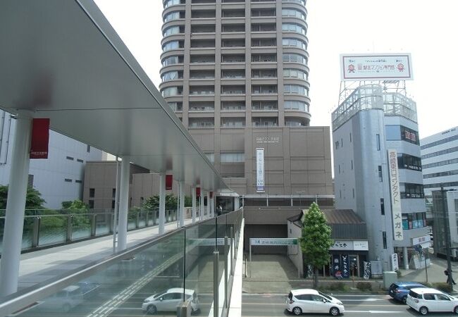 普通のビルの中にある、近、現代日本絵画が中心の美術館