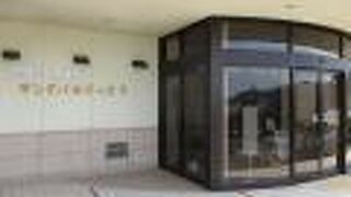 砂丘や鳥取に関連するお菓子やお土産が売られていました