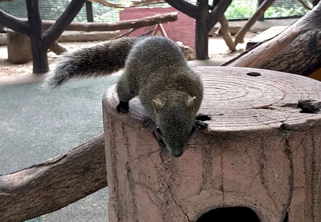 ロープウェイの半券で入村料が割引