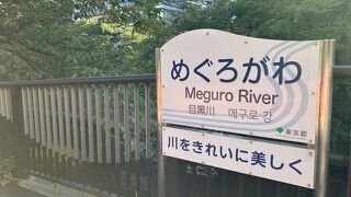 桜以外の時期の目黒川散歩もオススメ