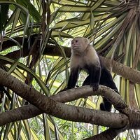 ホテルのガーデン