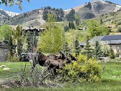 Hyatt Place Park City 写真