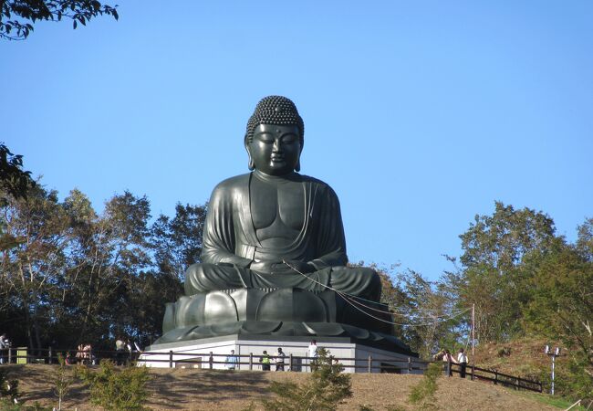 東日本最大級の座仏です