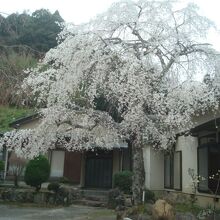 長興山紹太寺