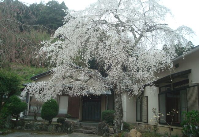 長興山紹太寺