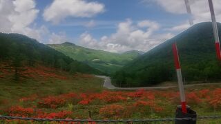 湯の丸高原